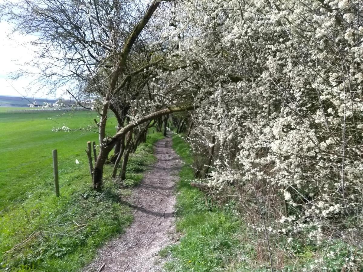 Saffier Zuid-limburg Holiday home *