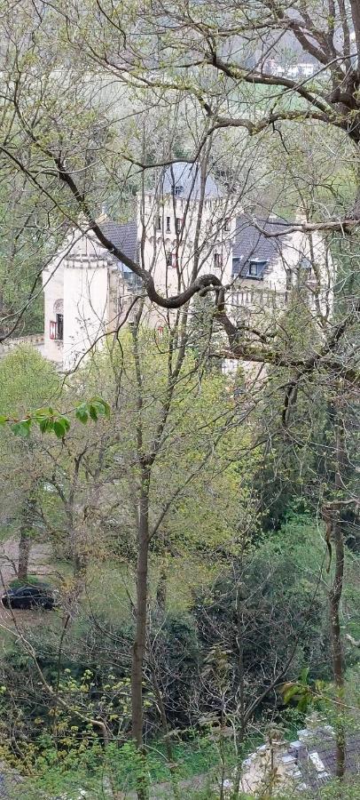 Saffier Zuid-limburg Holiday home Simpelveld